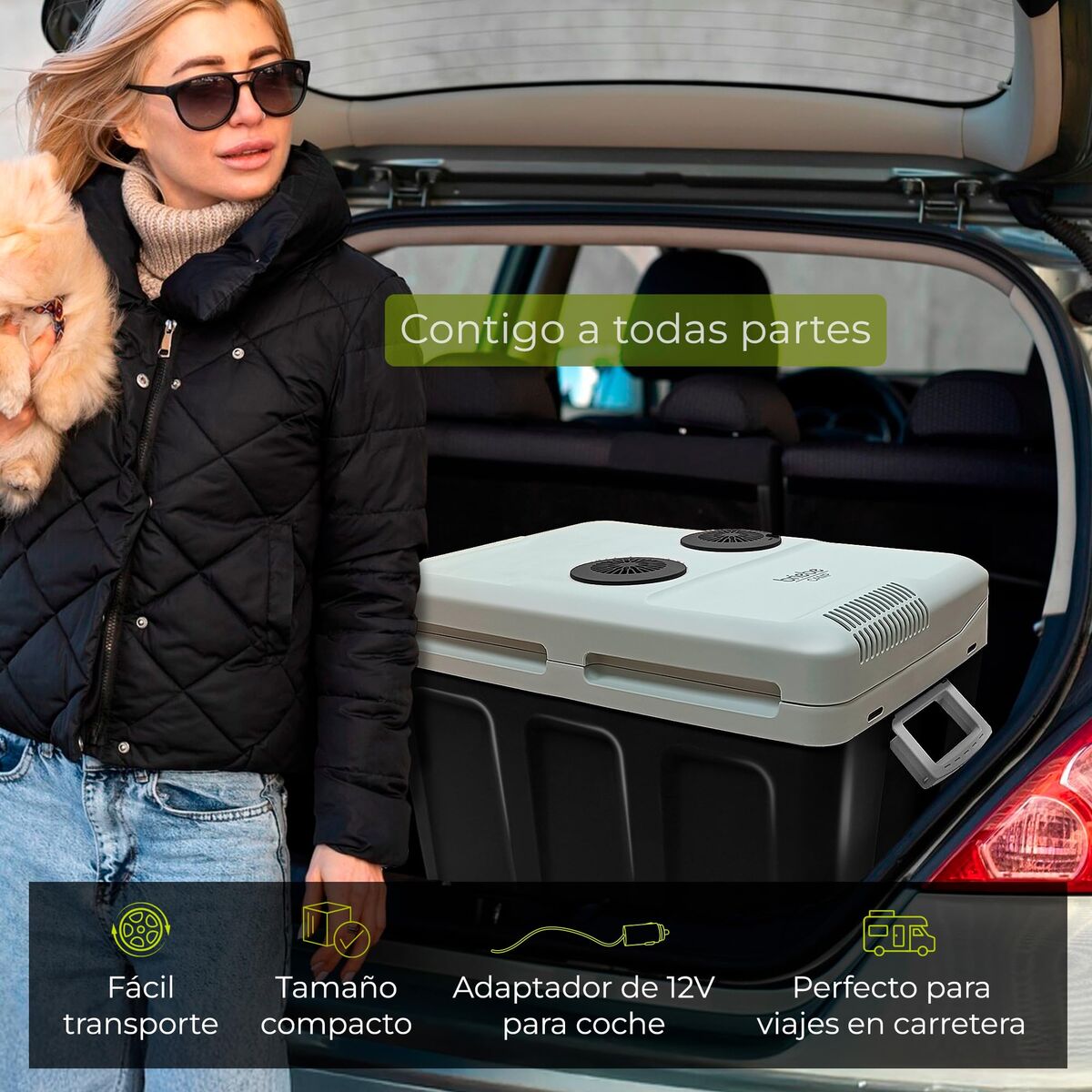 Electric Portable Fridge Black 40 L (Refurbished A)