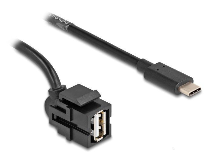 Delock 88057MÓDULO Keystone USB 2.0A Female USB Type-c™ Male 250° With Cable 1,5M