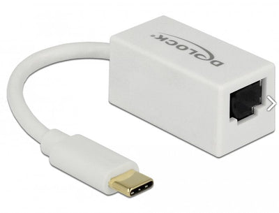 Delock Adapter Superspeed USB (USB 3.1 Gen 1) With USB Type-c™ Male Gigabit LAN 10/100/1000Mbps RJ45 White — image 1