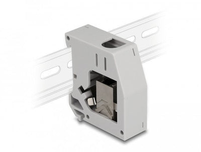 Delock Adapter Carril Din With Módulo Keystone RJ45 Female a RJ45 Female CAT.6A — image 1