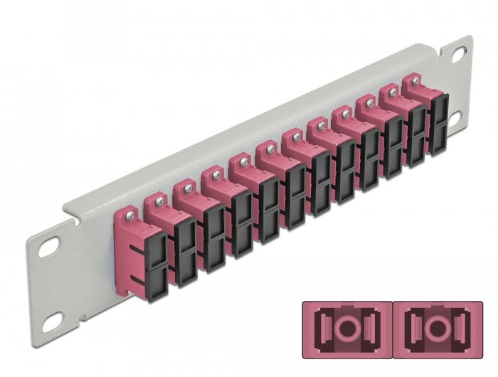 Delock 10 Patch Panel Fibre Optic 12 Ports Sc Duplex Violet 1 U Grey