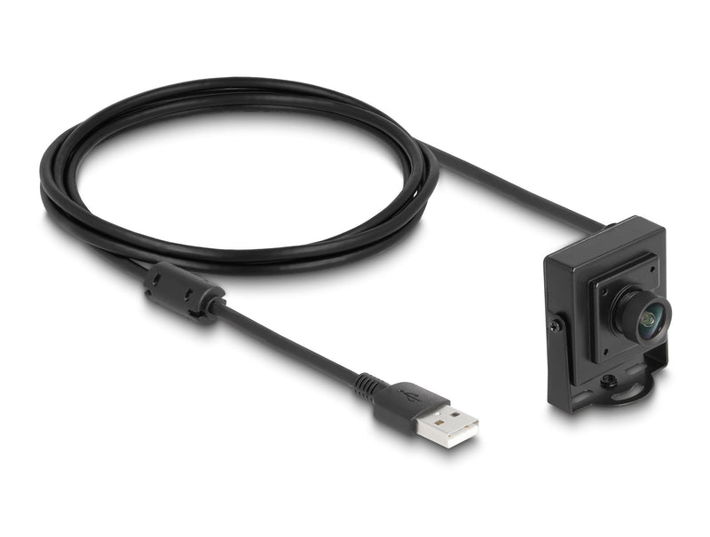 Delock USB 2.0 Camera 2.1 Megapixel 100° Fixfokus