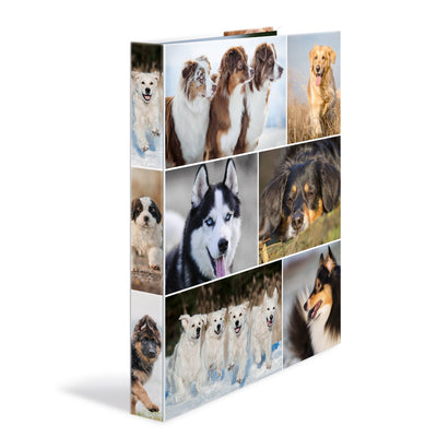 Herma Folder Anillas A4 Perros 4D — image 1