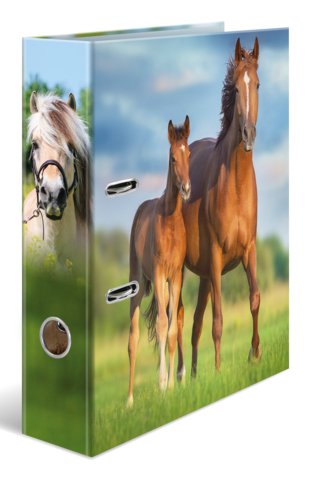 Herma Ring Binder A4 Cartón Pferd