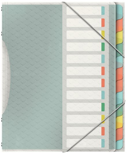 Esselte Clasificador Colour'ice 12 Separadores 266X320X20 Mm Polipropileno Colours Surtidos