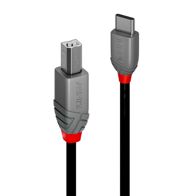 Lindy Cable 0.5M USB 2.0 Typ C An B Anthra Line — image 1