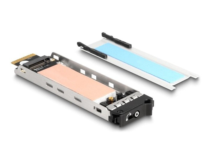 Delock 47037 Tray Indoor Rack Mobile Phone 1 X M.2 Nmve SSD Rack Mobile Phone 47028