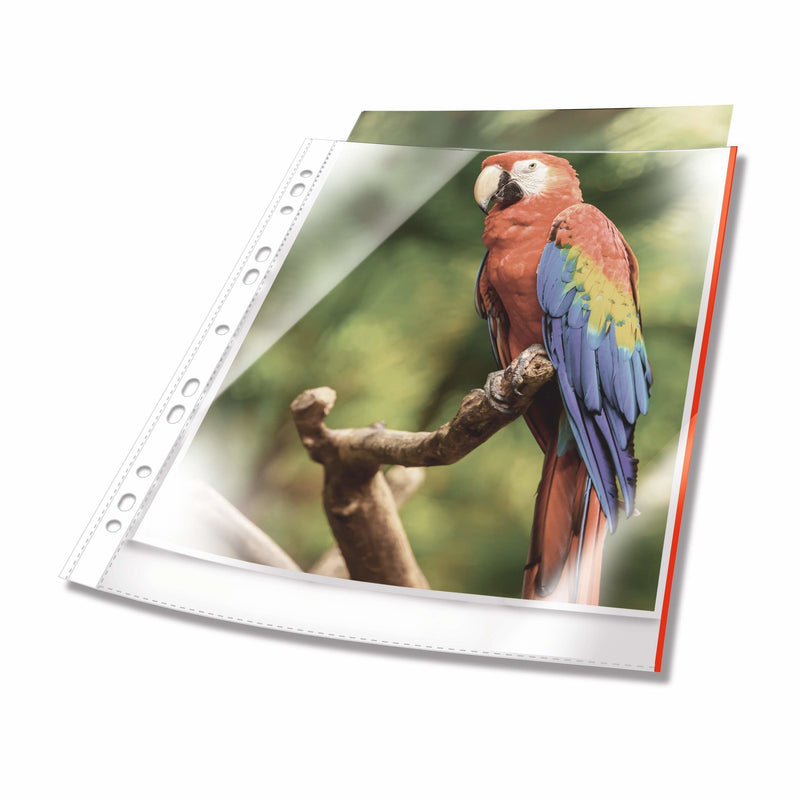 Durable Cases Documentos A4 Arriba Offen 25 Units Transparent Como Glass Red