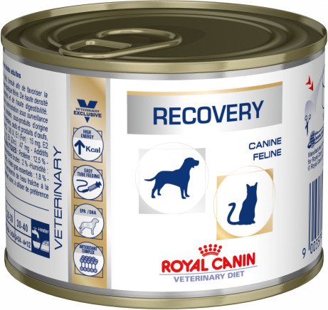 Royal Canin Vet Recovery Canine Alimento Húmedo Felinos - 195G — image 1