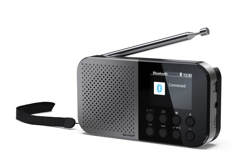 Sharp Radio DR-P520 Osaka Black