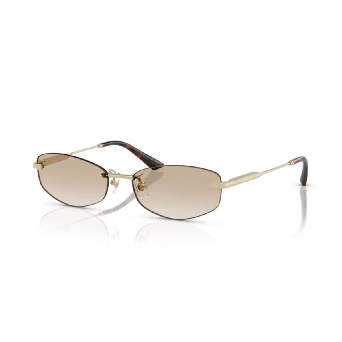 Jimmy Choo Ladies' Sunglasses Jimmy Choo Jc 4013D