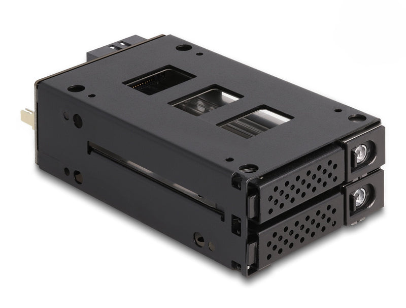Delock 47019 Shelf Mobile Phone Bahía Delgada 2 X 2.5? U.2 NVMe SSD