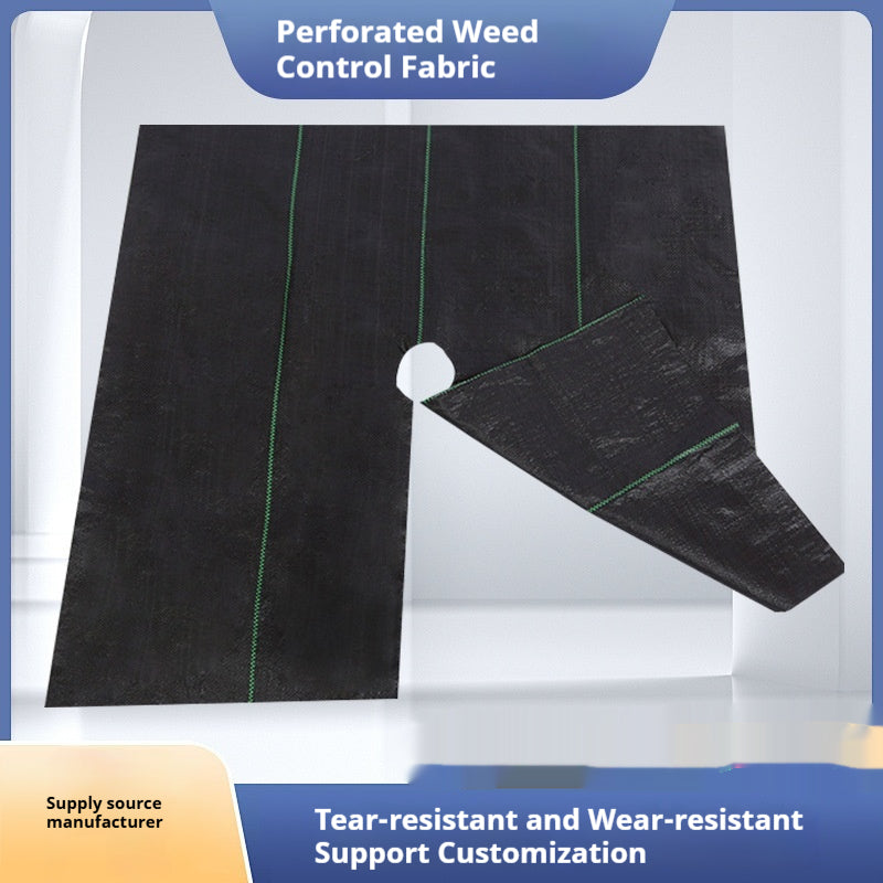 Horticultural Fabric For Fruit Trees With Slits And Perforations