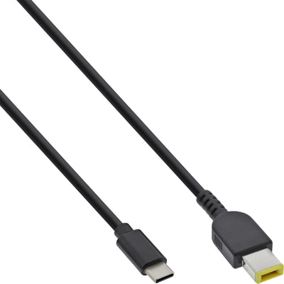 Inline Cable Charging USB Type-c a Laptop Lenovo Rectangular 2M — image 1