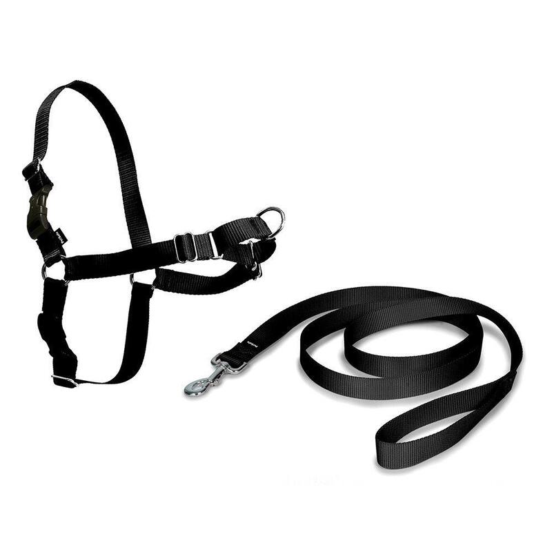 Arnés Easy Walk Black Large 69-101CM