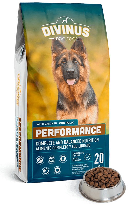 Divinus Performancepara Pastor German 20KG
