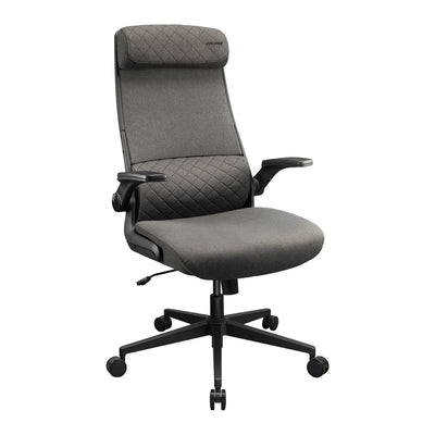 Cougar Chair Gaming Gaming Office-muhl Mryder, Moff, Grey — image 1