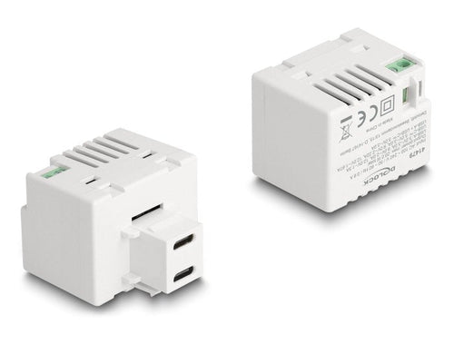Delock 41479MÓDULO Keystone With 2 Ports Charging USB Type-c™ Pd 20W White — image 1