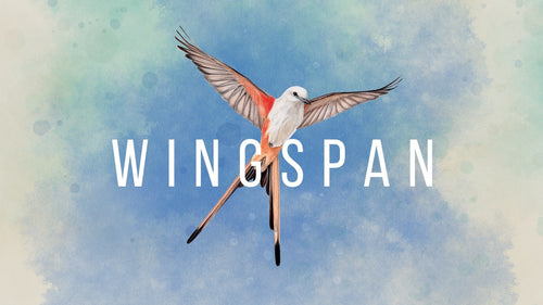 Set Wingspan Special Edition Switch — image 1