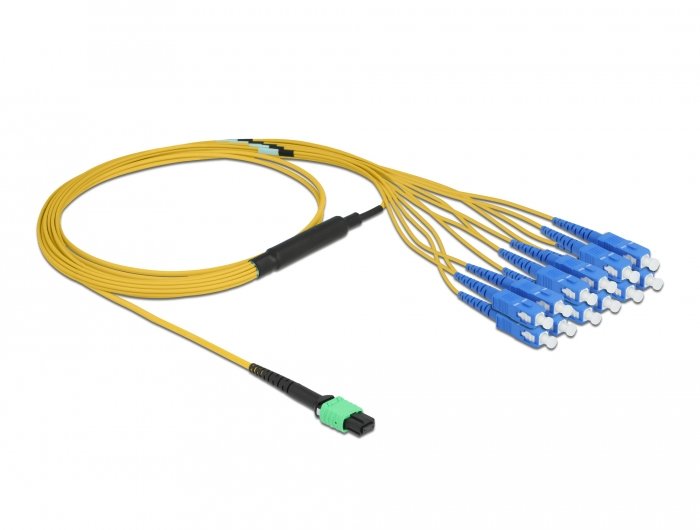 Delock Lwl Cable Mpo Connector Female a 12 X Sc Simplex Connector Male Singlemode, 9 125 ?m, 2M