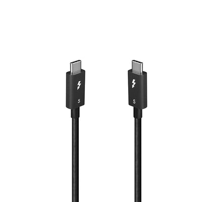 Lindy 31130 Cable Thunderbolt 1M 80 Gbit/S Black — image 1