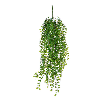 Ficus Colgante Colour Green 81CM — image 1