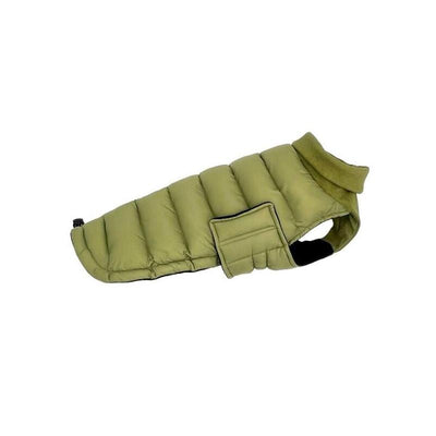 Pchelka Oskar Green - Ropa Perros - Size S — image 1